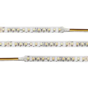 SLC LED pásik Tunable White 827-865 10m 125W IP20