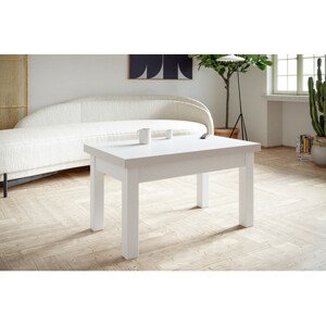 Konferenční stolek Classic 100x60 cm Bílá Bílá