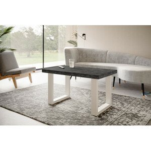 Konferenční stolek LOFT PROSTA 100x60 cm Bílá Černá