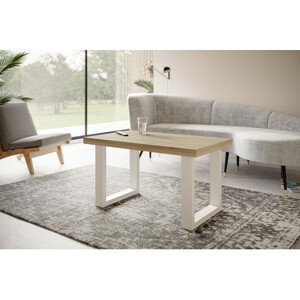 Konferenční stolek LOFT PROSTA 100x60 cm Bílá Dub sonoma