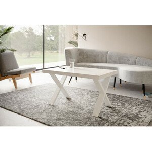 Konferenční stolek LOFT X 120x70 cm Bílá Bílá