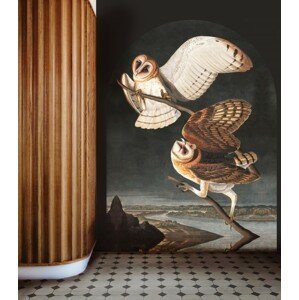 Wallcolours WALLCOLORS Owls wallpaper - tapeta POVRCH: Prowall Sand