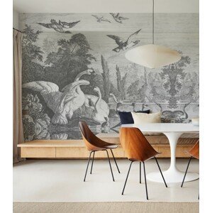 Wallcolours WALLCOLORS Black swans wallpaper - tapeta POVRCH: Prowall Concrete