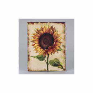 Obraz na plátne Dakls Sunflower
