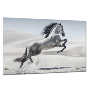 Obraz Styler Glasspik Glasspik Animals Horse, 80 × 120 cm