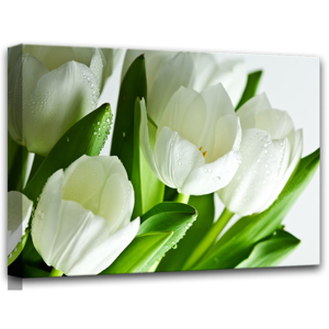 Obraz Styler Canvas White Tulips, 60 × 80 cm