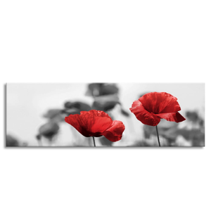Obraz Styler Glas Red Poppy, 50 × 125 cm