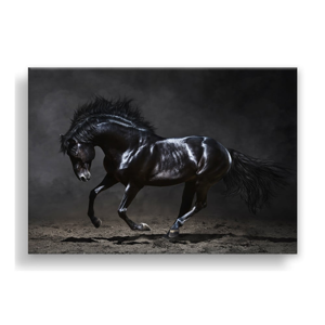 Obraz Styler Canvas Silver Uno Horse, 85 × 113 cm