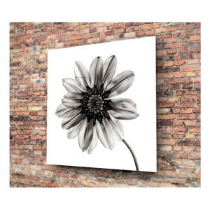 Čierno-biely sklenený obraz Insigne Flower, 30 × 30 cm