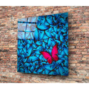 Sklenený obraz Insigne Azul Butterfly, 30 × 30 cm
