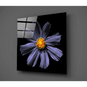 Čierno-fialový sklenený obraz Insigne Flowerina, 30 × 30 cm