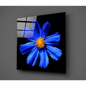 Čierno-modrý sklenený obraz Insigne Flowerina, 30 × 30 cm