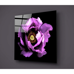 Čierno-fialový sklenený obraz Insigne Calipsa Purple, 30 × 30 cm