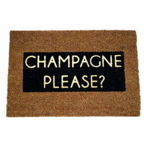 Rohožka z prírodného kokosového vlákna Artsy Doormats Champagne Glitter, 40 x 60 cm