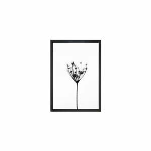 Obraz Tablo Center Misty Splender, 27 x 32 cm