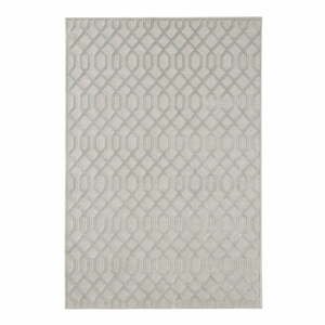 Sivý koberec Mint Rugs Caine, 200 × 300 cm