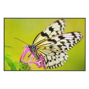 Zelený koberec Oyo home Butterfly, 100 x 140 cm