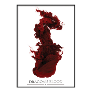 Plagát DecoKing Dragons Blood, 50 x 40 cm