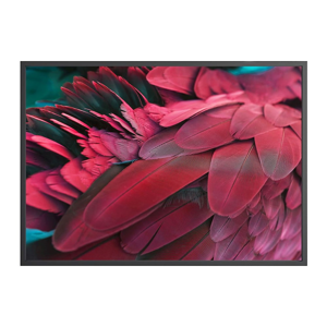 Plagát DecoKing Feathers Red, 100 x 70 cm