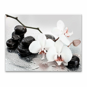 Obraz Styler Pastel Orchids, 100 x 70 cm