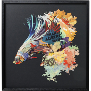 Nástenný obraz v ráme Kare Design Betta Fish Colore Left, 65 x 65 cm