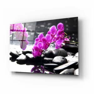 Sklenený obraz Insigne Orchid