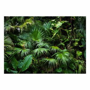 Veľkoformátová tapeta Bimago Sunny Jungle, 400 x 280 cm