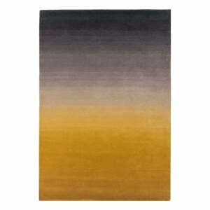 Žlto-sivý koberec Asiatic Carpets Ombre, 160 x 230 cm