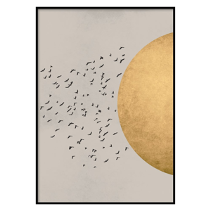 Nástenný plagát v ráme BIRDS/SILHOUTTE, 50 x 70 cm