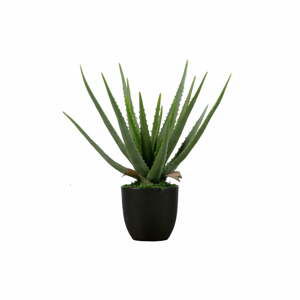 Umelé aloe vera WOOOD, výška 46 cm