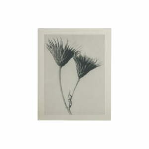 Béžovo-sivý obraz BePureHome Artwork Flower
