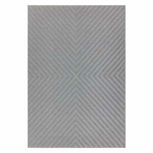Svetlosivý koberec Asiatic Carpets Antibes, 160 x 230 cm