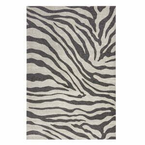 Čierno-sivý koberec Flair Rugs Zebra, 120 x 170 cm