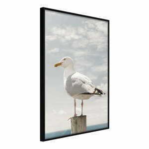 Plagát v ráme Artgeist Curious Seagull, 40 x 60 cm