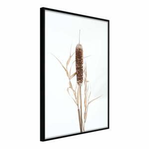 Plagát v ráme Artgeist Typha, 20 x 30 cm