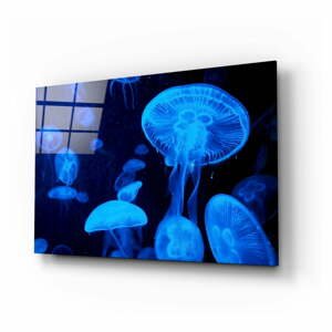 Sklenený obraz Insigne Jellyfish