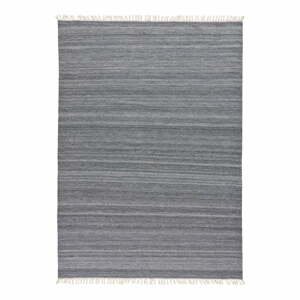 Tmavosivý vonkajší koberec z recyklovaného plastu Universal Liso, 160 x 230 cm