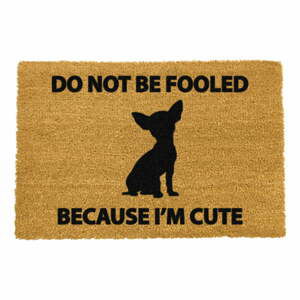 Rohožka z prírodného kokosového vlákna Artsy Doormats Chihuahua, 40 x 60 cm