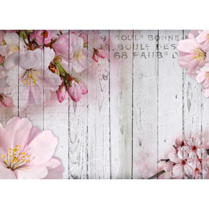 Veľkoformátová tapeta Bimago Apple Blossoms, 350 × 245 cm