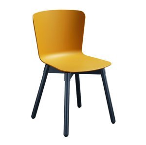 MIDJ - Plastová stolička CALLA s drevenou podnožou