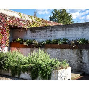 Il Giardino di Corten - Kvetináč TEBE RETTANGOLARE