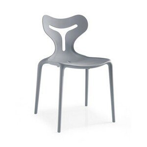 CONNUBIA (CALLIGARIS) - Dizajnová stolička AREA51