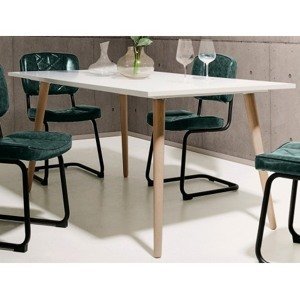 Jedálenský stôl Göteborg 160x90 cm, biela / dub sonoma%