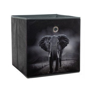 Úložný box Alfa, motív slon v divočine%