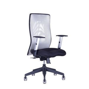 Kancelárska stolička na kolieskach Office Pro CALYPSO GRAND BP – s podrúčkami Svetlosivá 12A11