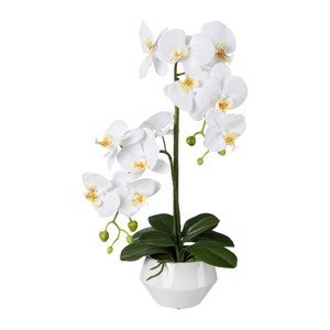 Gasper Orchidej v keramickém květináči, 52 cm, bílá