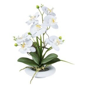 Gasper Orchidej v keramickém květináči, 41 cm, bílá