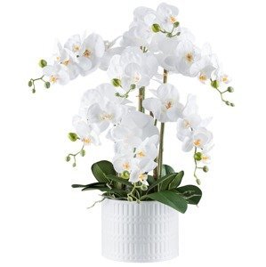 Gasper Umělá orchidej v keramickém květináči, 60 cm, bílá
