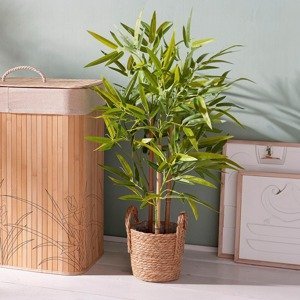 Weltbild Umělá rostlina Bambus v pleteném květináči, 80 cm