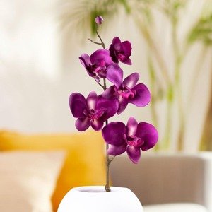 Weltbild Umělá orchidej, fuchsiová